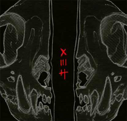 Artists participating in Summer Sprint